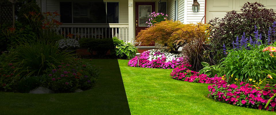 Centerville Landscapers